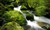 Nature_Rapids.jpg