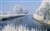 Nature_Winter.jpg